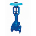 DIN F7 Rising Stem Gate Valve (Z41)